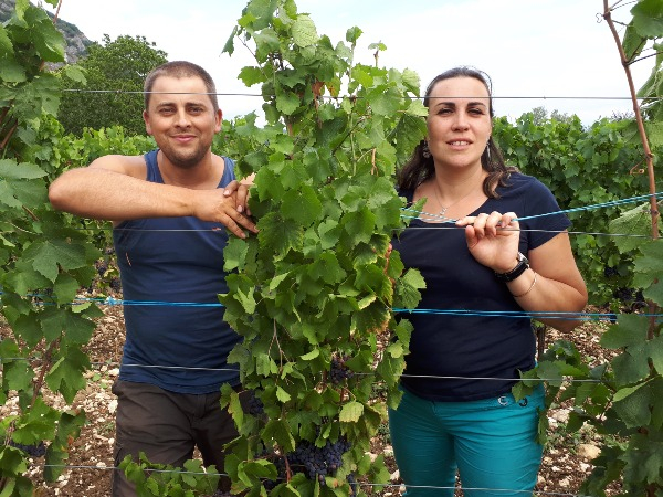 Domaine Trichon