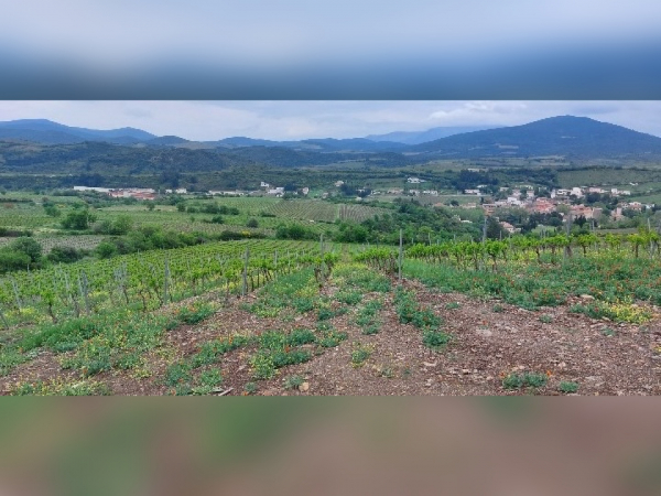 Domaine montluzia