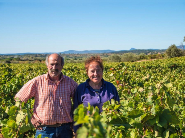 Domaine la voute du verdus