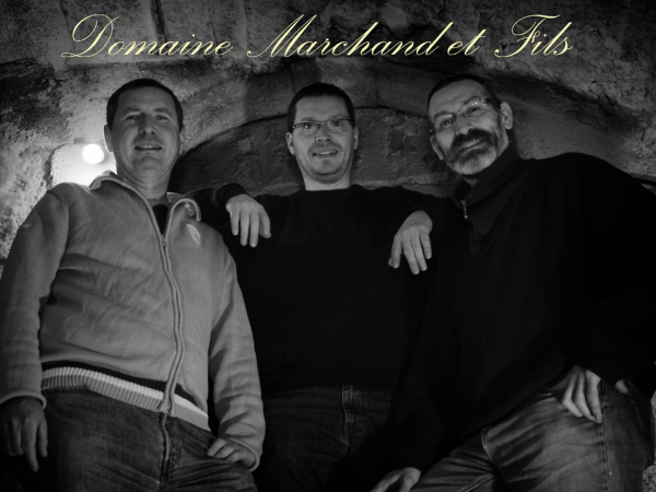 Domaine marchand et fils